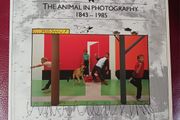 The Animal in Photography, 1843 - 1985/ 1986
