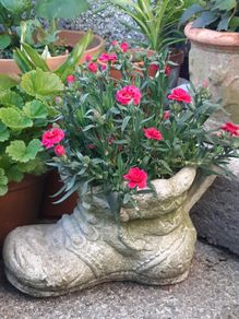 gardener's boot