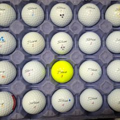 Titleist Pro V1 X