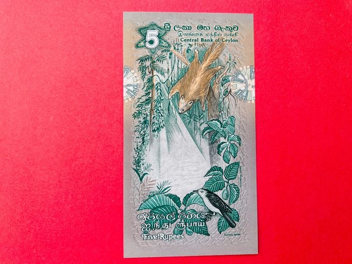 CEYLON  5  Rupees.  1979  Pick  84a. ( Uncirculated )