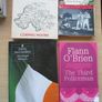 Bulk Lot Collection of 34 Assorted Irish Interest, History - People Places & Events, and Classic Books Image 8