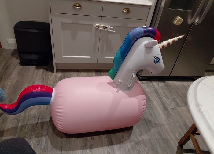 Bouncy horse