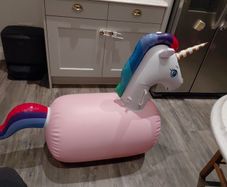 Bouncy horse
