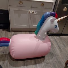 Bouncy horse