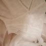 Rant & Rave white top UK14 BNWT Image 5