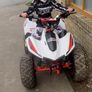 quad Image 2