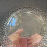 Waterford Crystal John Rocha Lume Carafe Decanter Image 4