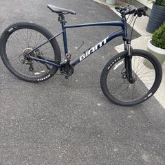 GIANT mountain bike