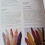 Garden Flowers From Seed / An Illustrated Dictionary/ 1981 Image 8