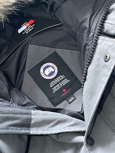 canada goose