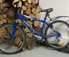 Giant GSR MTB for Swaps
