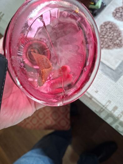 Two Old Cranberry Thumb Oil Lamps for sale, Postage Available,