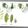 Collection 2006 Ireland Commemorative Stamps An Post First Day Cover (FDC). Collection of 25 covers. Image 6