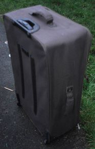 Large Grey Suitcase