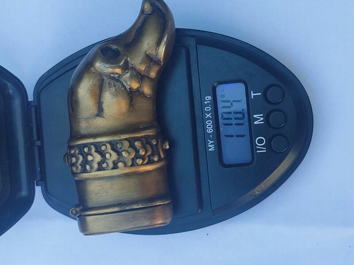 Large Brass Dog Vesta case