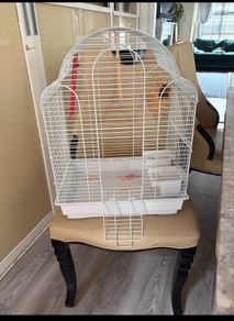 Parrot cage