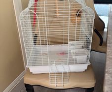 Parrot cage