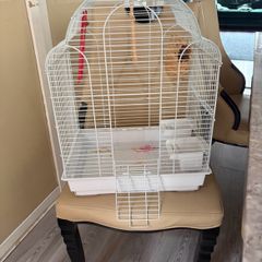 Parrot cage