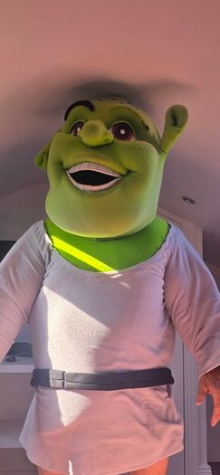 children's entertainment costume