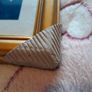Lizard photo and frame Image 4