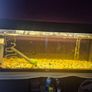 220lt fish Image 2