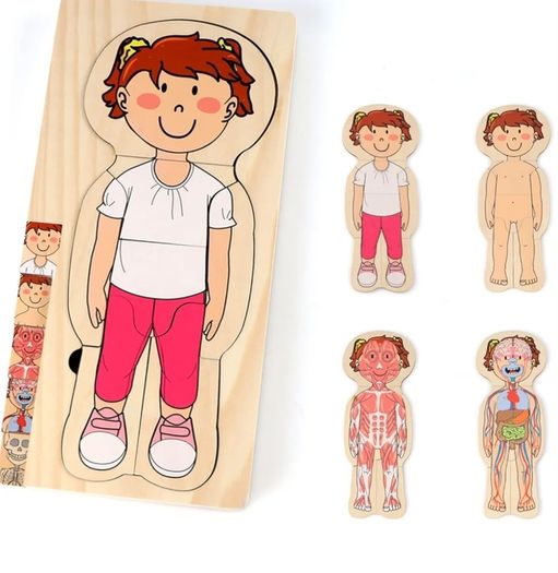 Educational Toy ; Wooden (947)  2