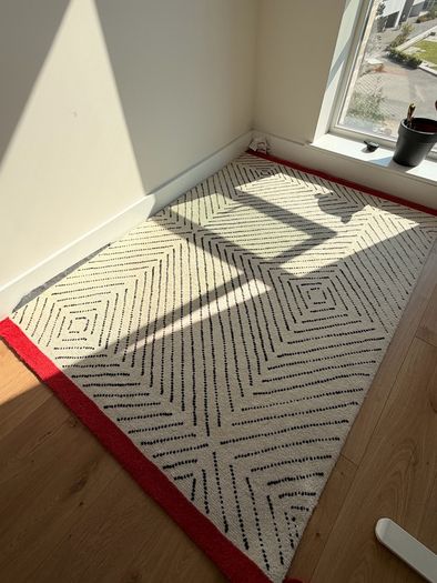 Ikea Rug