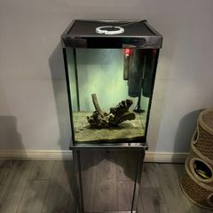 fish tank
