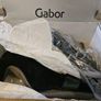 Gabor suede black buckle detail high heel shoes size 7 uk 40.5 EU  and UK 3 EU 35.5 RRP 105 new & boxed Image 5