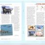 1997 Jersey (Channel Islands) Stamp Year Book (softback) issued by Jersey Post with 14 images of contents Image 8