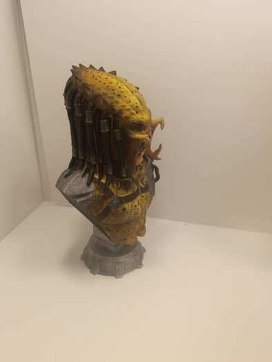 Predator Bust