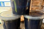 New Black Roof Tile Paint