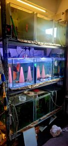 aquarium