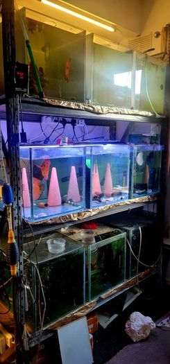 aquarium