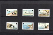 1983 Isle of Man Birds Definitive Low Value Stamps Presentation Pack