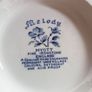 Rare Myott "Melody" Teapot Image 3