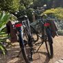 Matching Pair: 2 x Trek Verve+ 1 Lowstep Electric Image 2
