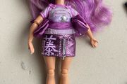 Rainbow high doll