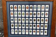 Framed set of Wills Cigarette cards