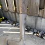 Garden Rake Image 3