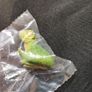Schleich Dino World figures - new Image 8