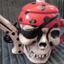 Pirate Style Tea  Pot & Guitar plectrums Image 5