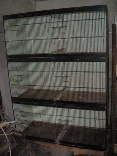 Bird Cages