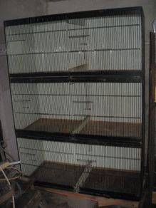 Bird Cages