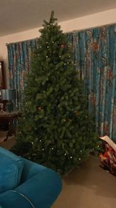 7.5ft Christmas Tree with stand