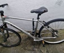 Trek Bike