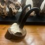 Antique Pair of Alpine Chamois Taxidermy Mounts Image 3
