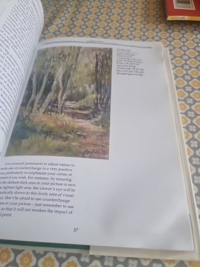 Collins Pastels Workshop: A Practical Course in Pastel Painting to Develop... (Hardcover)
