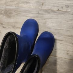 size 12 welllington boots