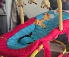 Baby chair /swing with Giraffes